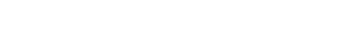 SYSTEM ENGINERING SERVICE システムエンジニアリングサービス（SES）